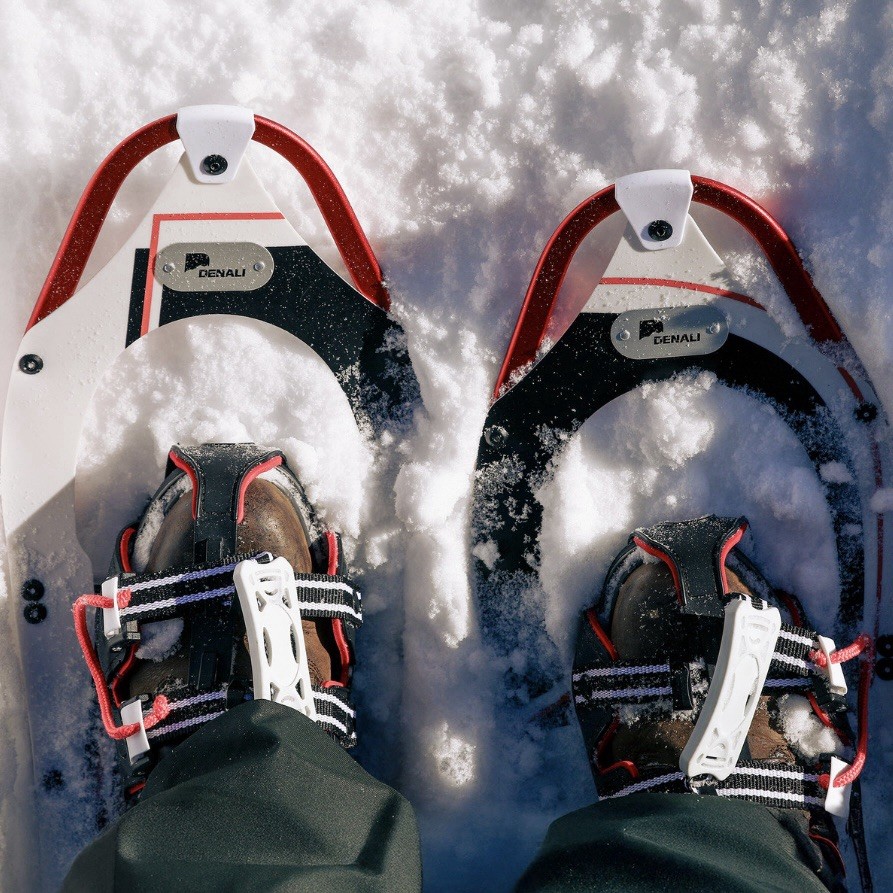 Denali Sawtooth Spin Snowshoes 9x30 Winter Hiking Kit w/ Poles & Bag – 250 lb