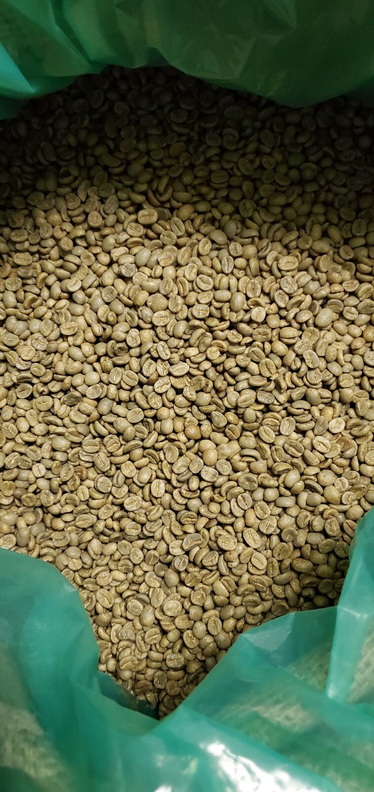 5 LB COSTA RICA, COSTA RICAN, UNROASTED GREEN COFFEE BEANS FIVE POUND - ARABICA