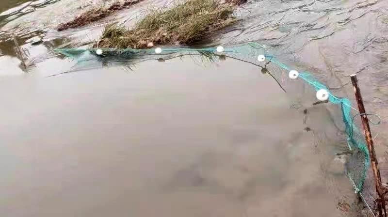 Fiskenet Fishing Net Small Mesh Trap Trawl Fishing Cage Floats Folding Crab Rive