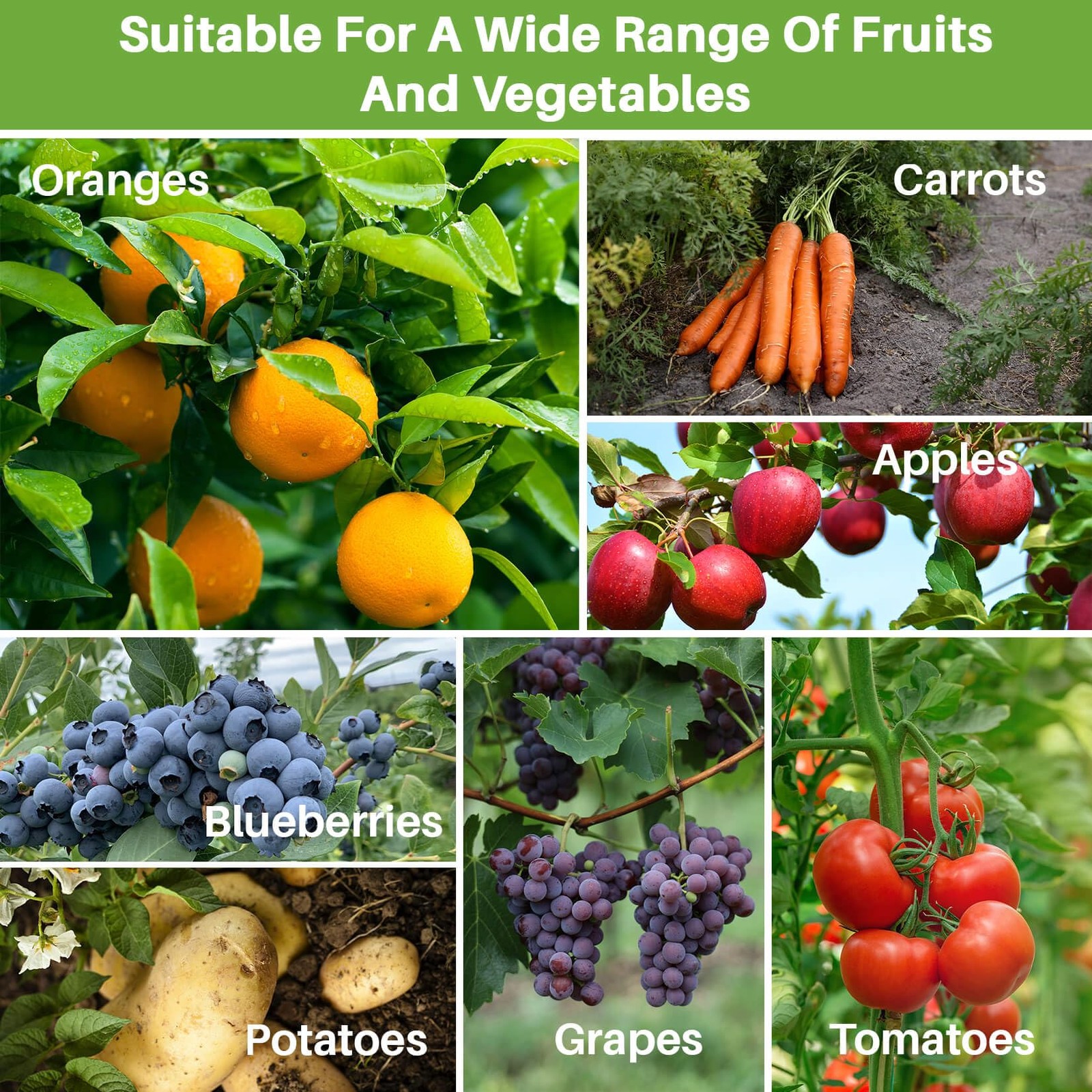 Bird Netting for Garden Protection – 3 Pack 2.3 x 3.3 FT Blueberry Bush Netti...