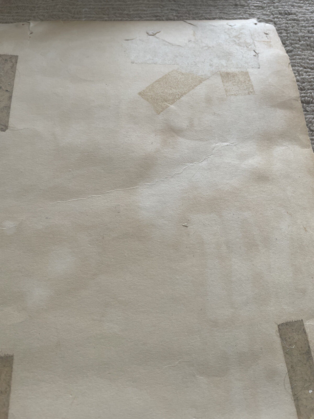 1966 BIG BROTHER & THE HOLDING CO. Sir Douglas Quintet, FD-30 Family Dog Poster