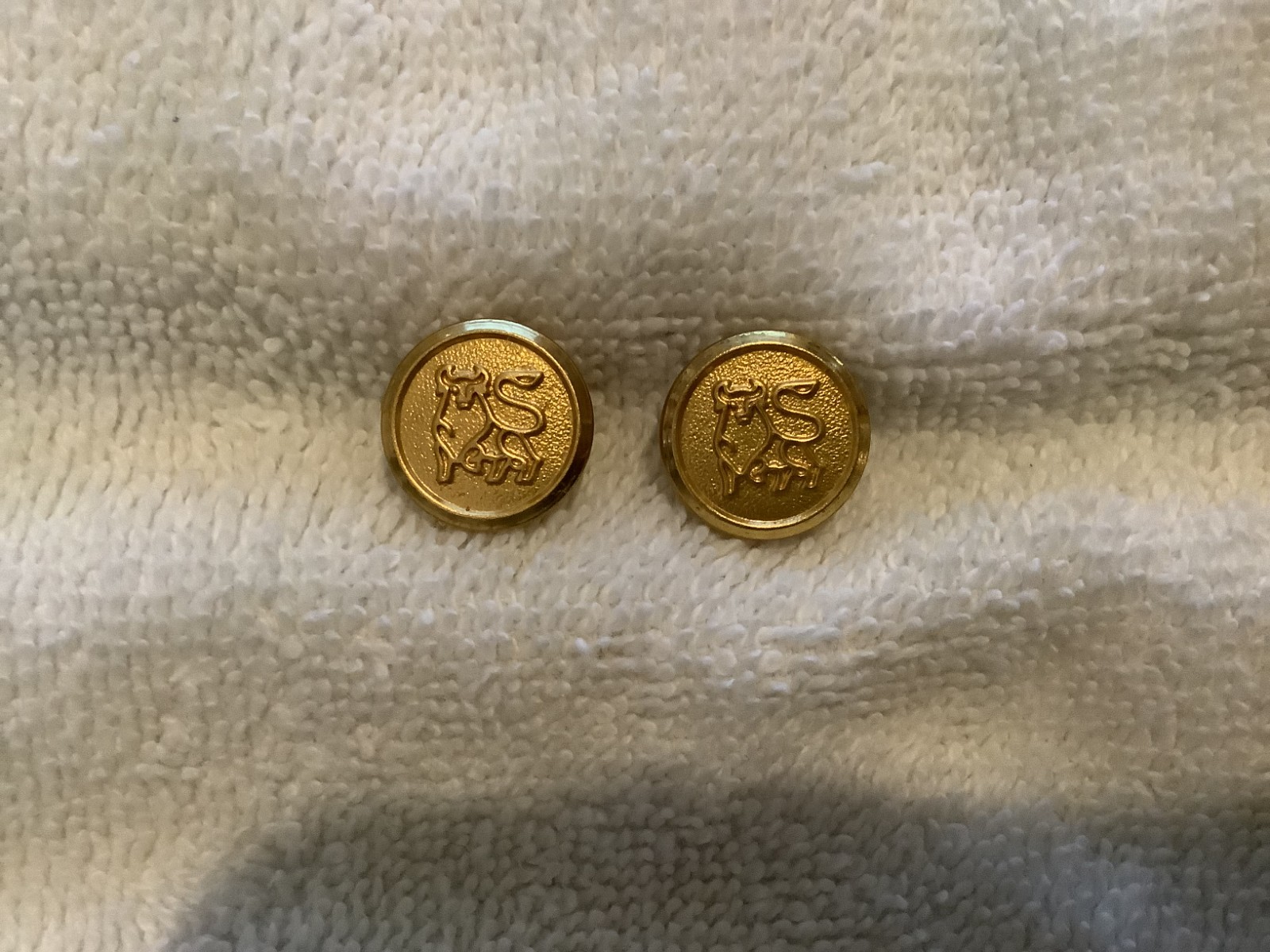 Lot of 10 Vintage Merrill Lynch Bull Logo Jacket Buttons Waterbury Co.