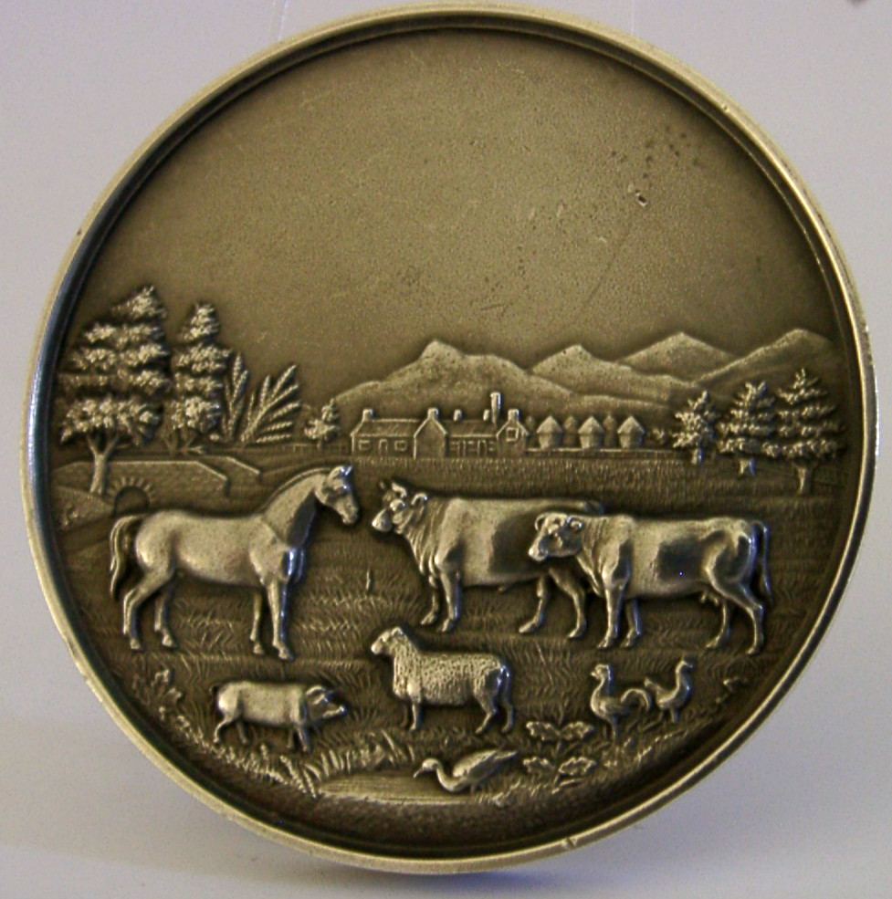 LARGE 50g ENGLISH SOLID STERLING SILVER FARMING MEDAL 1902 LIVESTOCK HORSE COWS