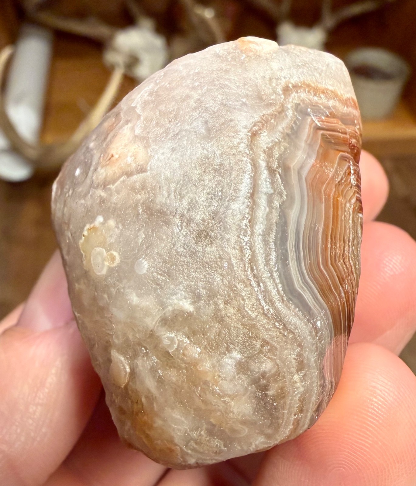 4.55oz LAKE SUPERIOR AGATE 2 GREAT FIRE & ICE COLORED BANDED FACES NEAT