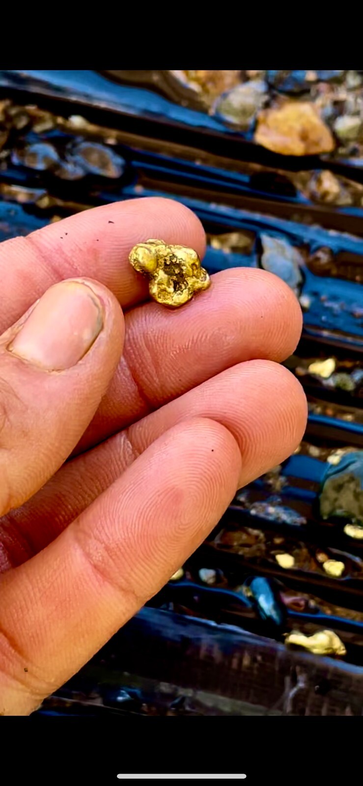 GOLD Paydirt Guaranteed Unsearched Rich with black sand + Added Gold concentrate