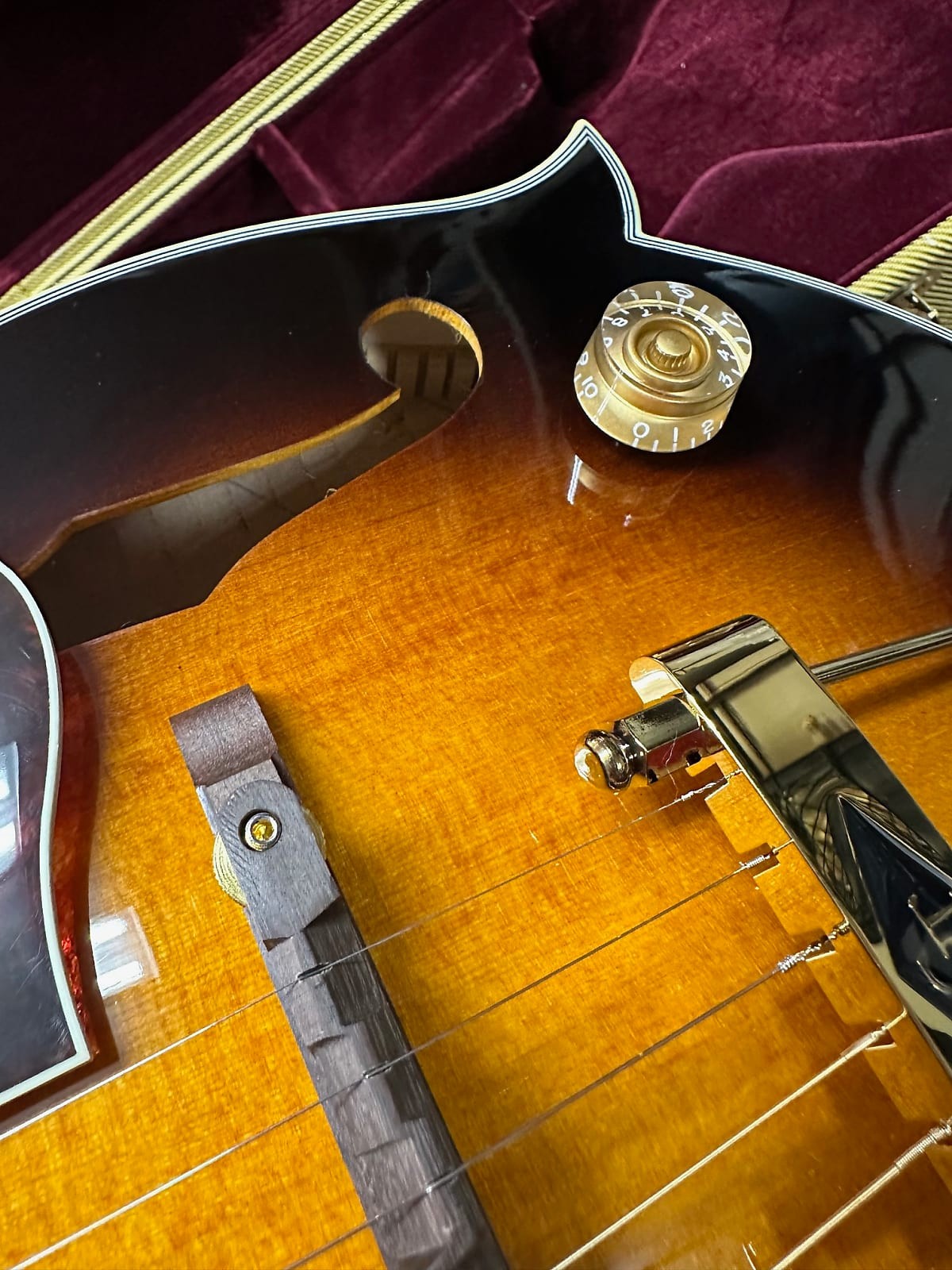 Gold Tone F-6+ F-style 6 String Electric Mandolin Guitar Mando-Guitar New W/Case