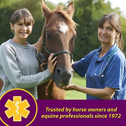 Horse Health Red Cell, Liquid Vitamin-Iron-Mineral Supplement for Horses,