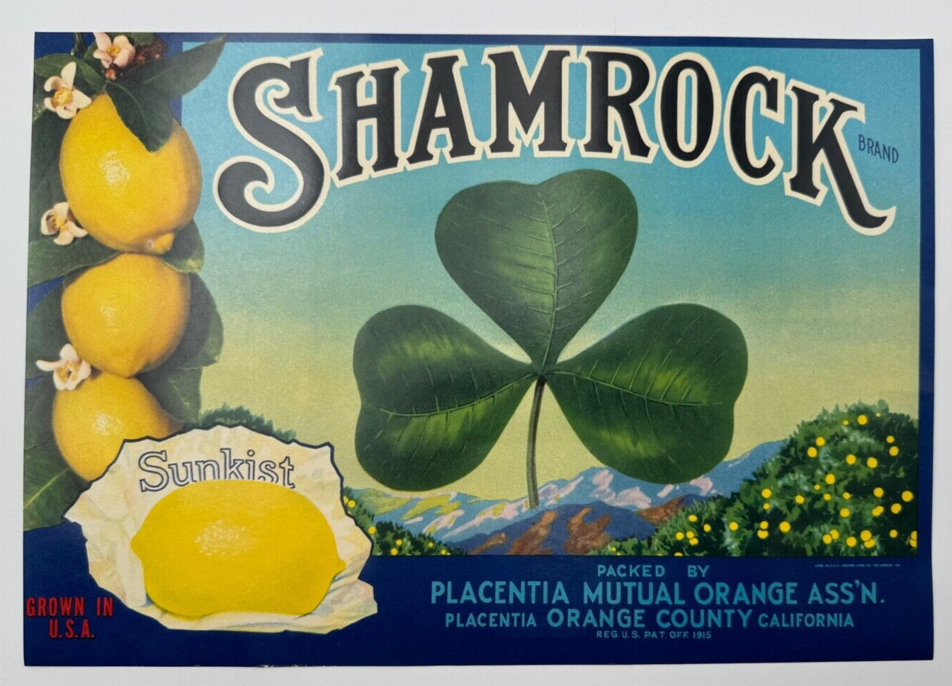 Original Vintage 1930s Lemon Crate Label, Shamrock Brand, Placentia California