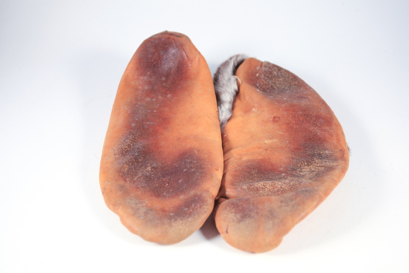 Antique Native American Northwest Coast Indian Old Beaded Moccasins Leather Fur