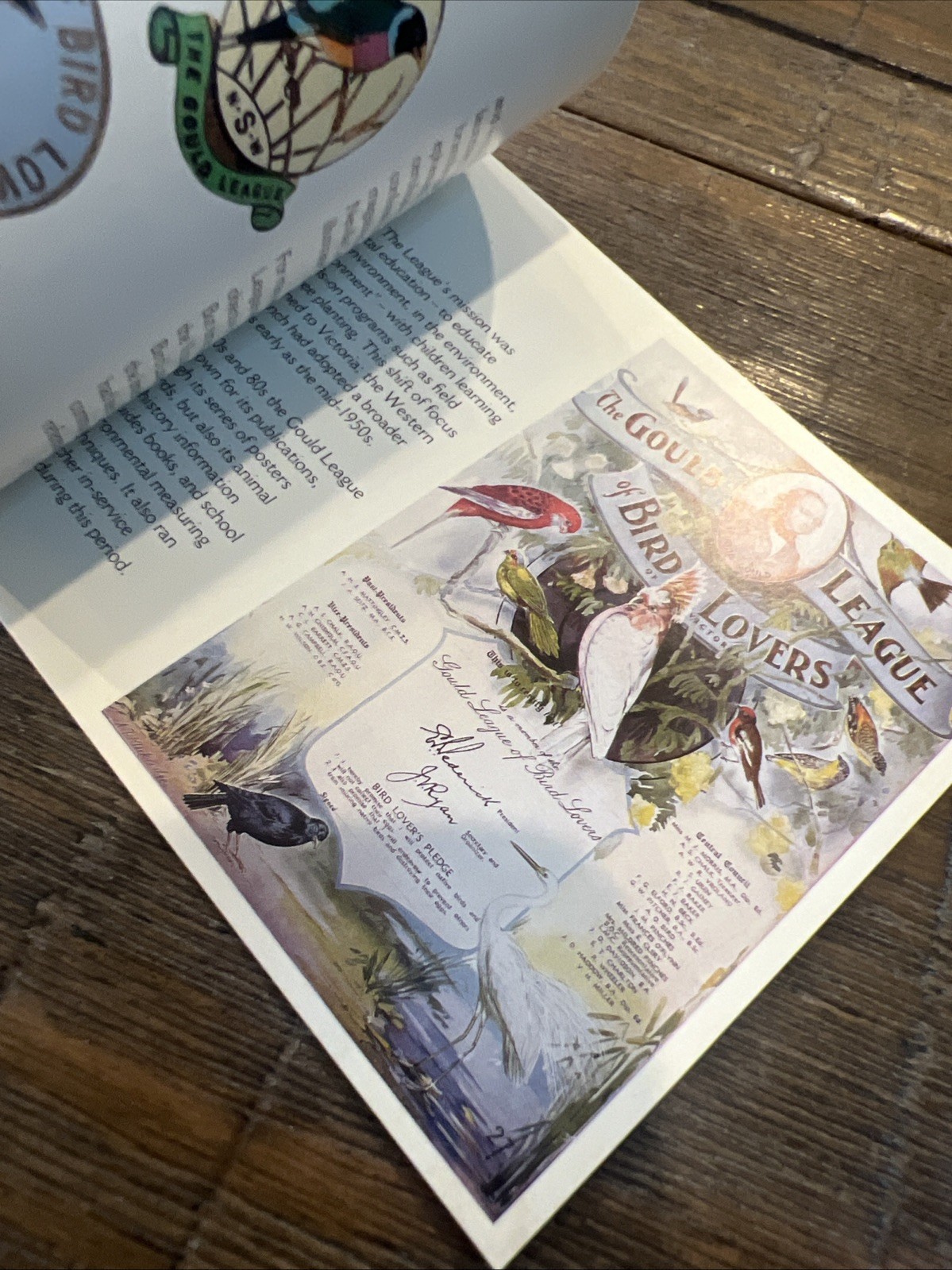 Lot Of 6: Australia Prestige: Dogs, Dangerous Aussies, Wallabies, Birds, Etc.