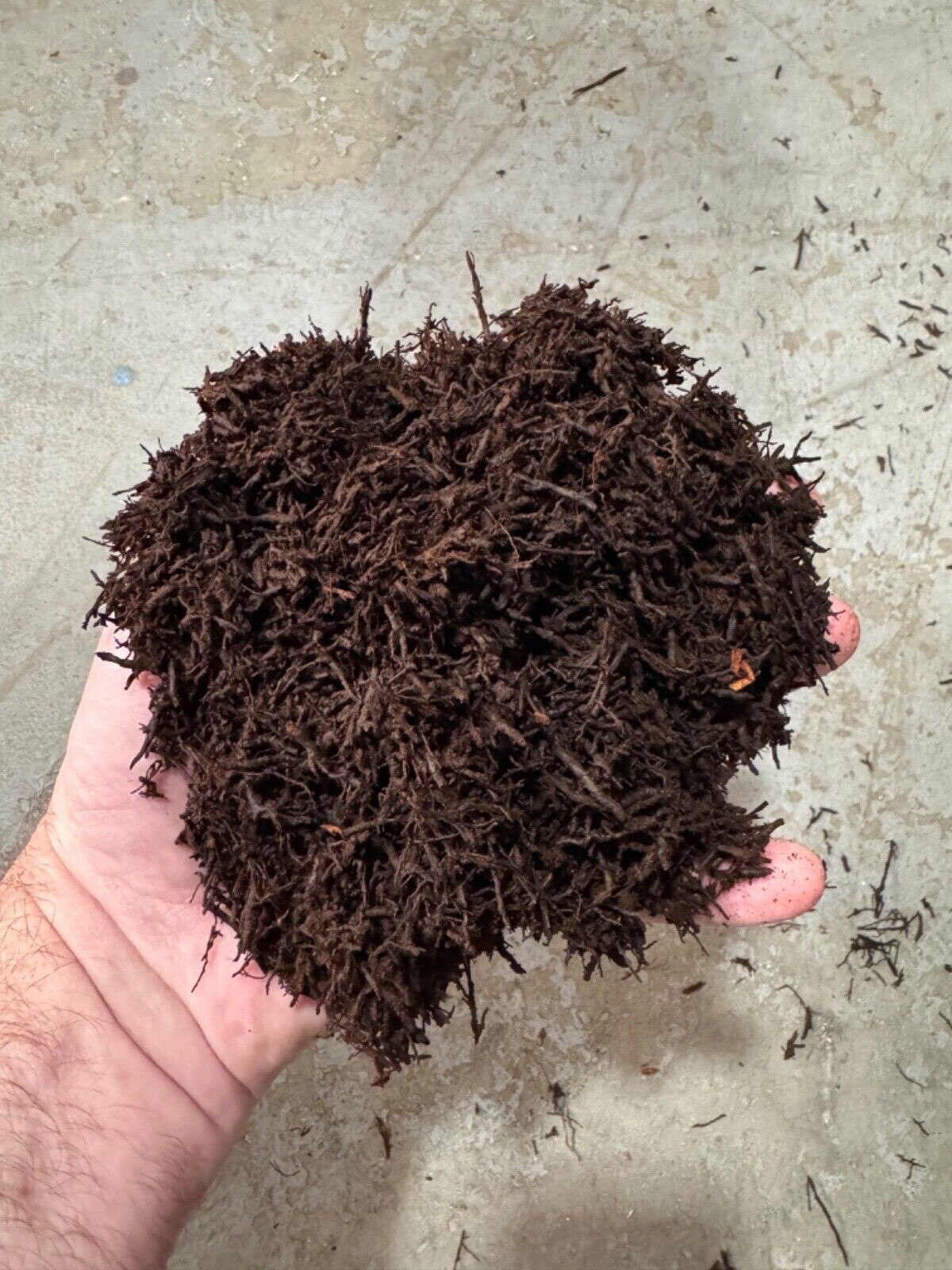 Premium "Gritty" Tree Fern Fiber (New Zealand) - Great for Tropicals