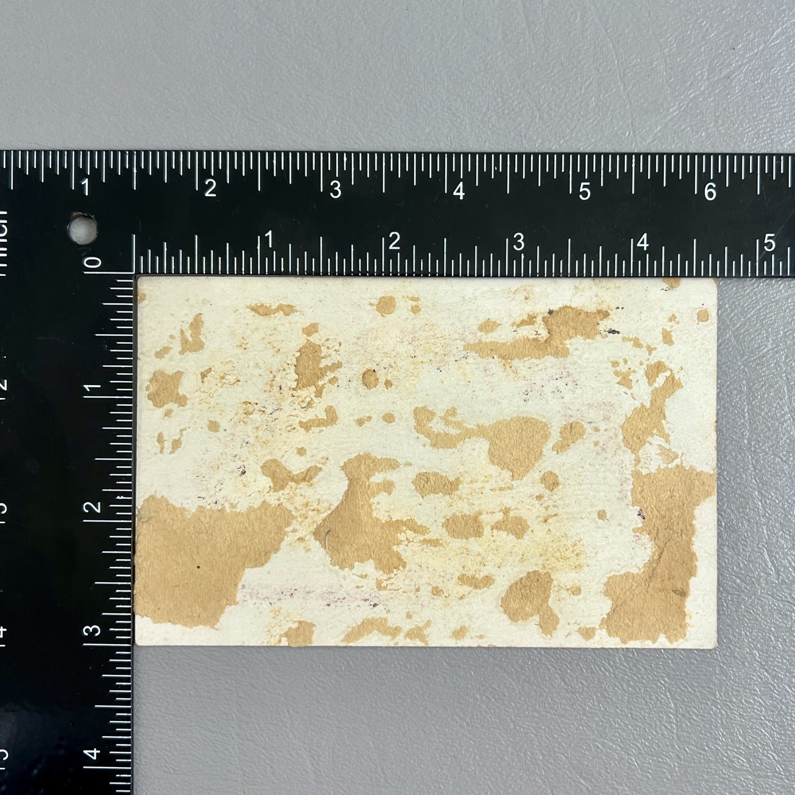 Victorian Trade Card Fan Coast Line Todtman & Co Seneca Falls NY Merchant Tailor