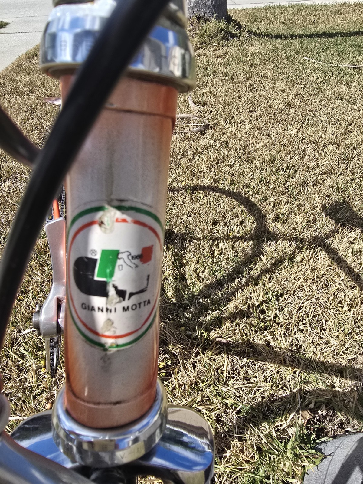 Gianni Motta Bike with Campagnolo Parts 53cm