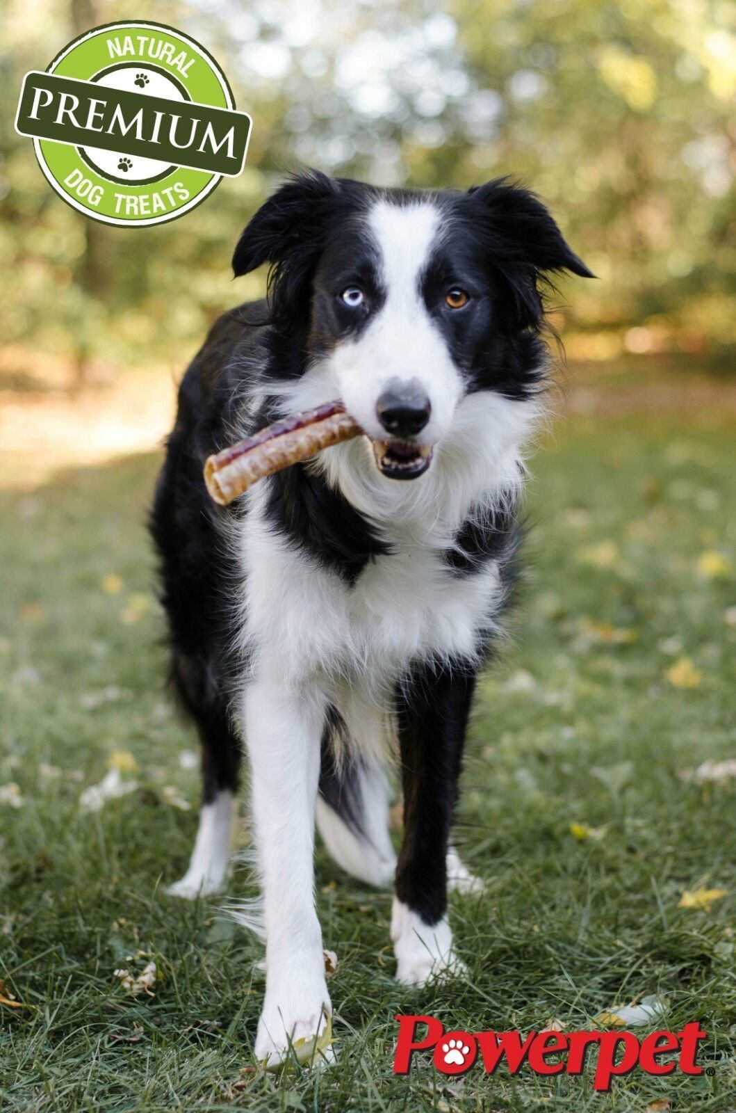 6 INCH Beef Trachea- BULK- Natural Dog Chew-100% BRC CERTIFIED