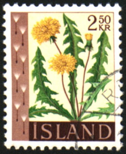 32631   Iceland Stamp Scott #331 Dandelion Flower Plant Fine Used Clean Back