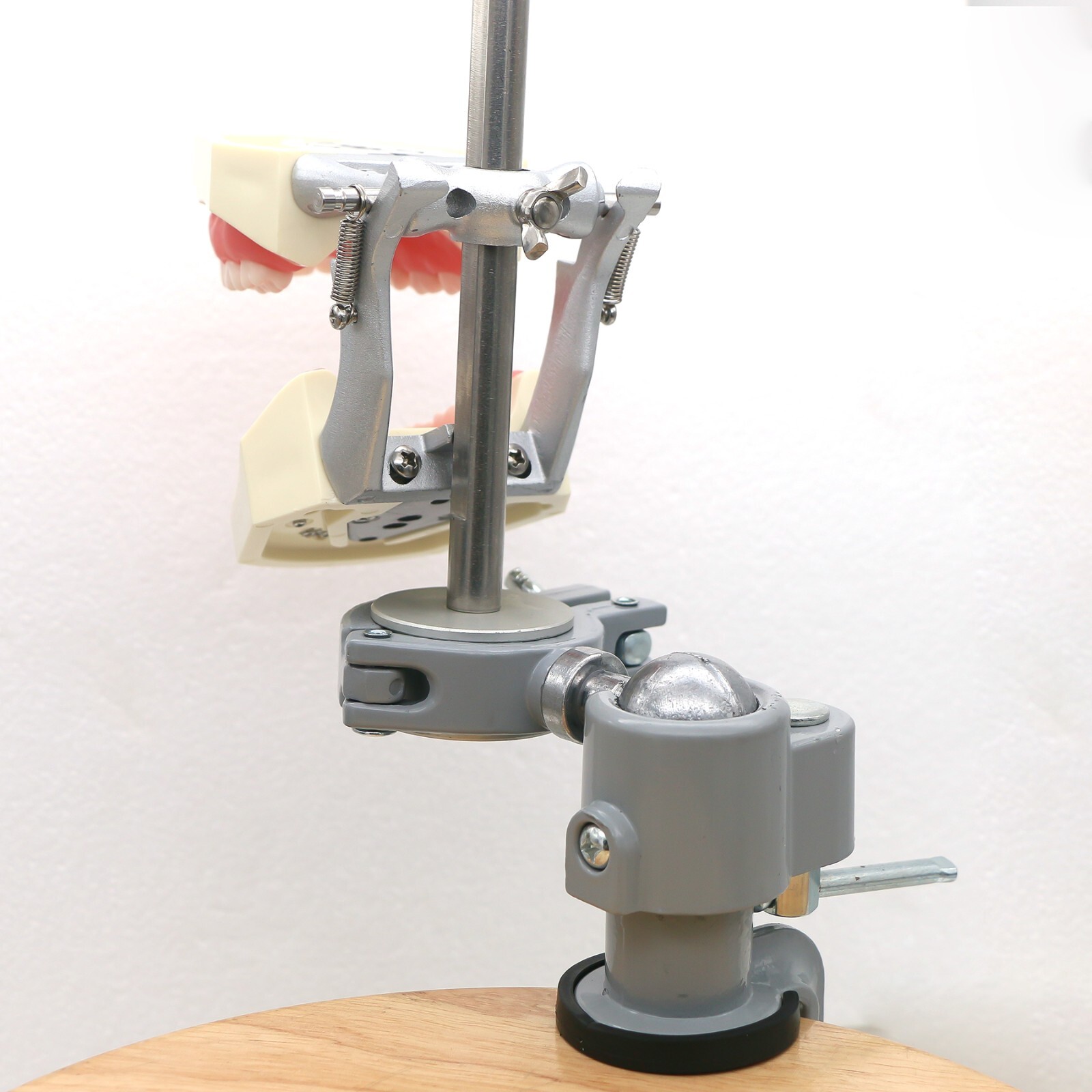 US Dental Typodont Mounting Pole For Columbia Kilgore Nissin Frasaco Teeth Model