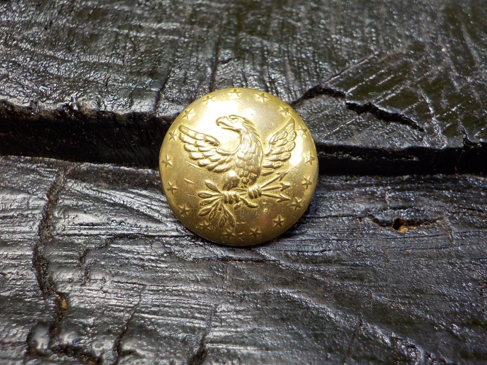 Old Rare Vintage Antique Relic Pre Civil War Militia Officers Coat Button w/Gold