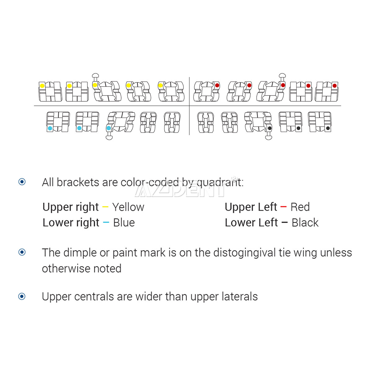 Dental Orthodontic Brackets Braces/ Glue Bonding Light Cure Resin Composite Kit