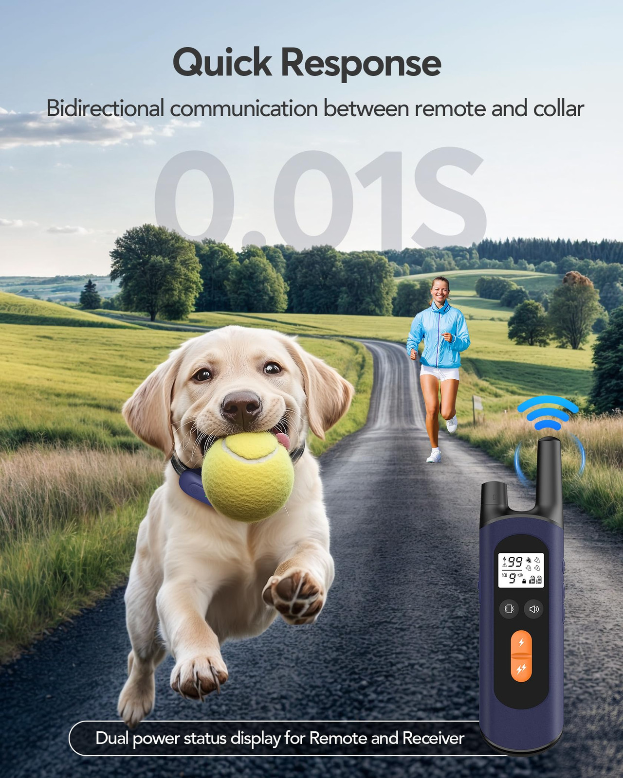 Dog Shock Collar with Remote Control Training Collar IPX7 Waterproof Electric