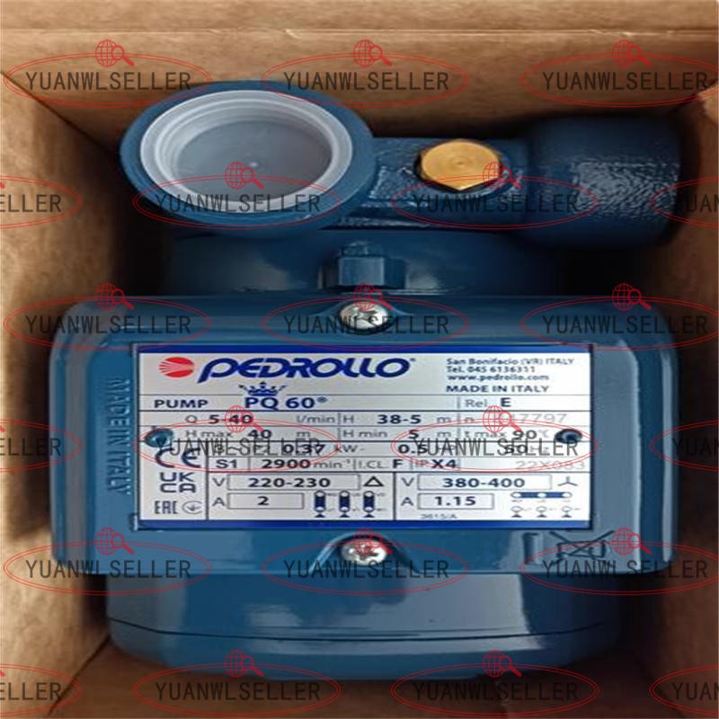 1x NEW PEDROLLO PQ60 380V Water Pump
