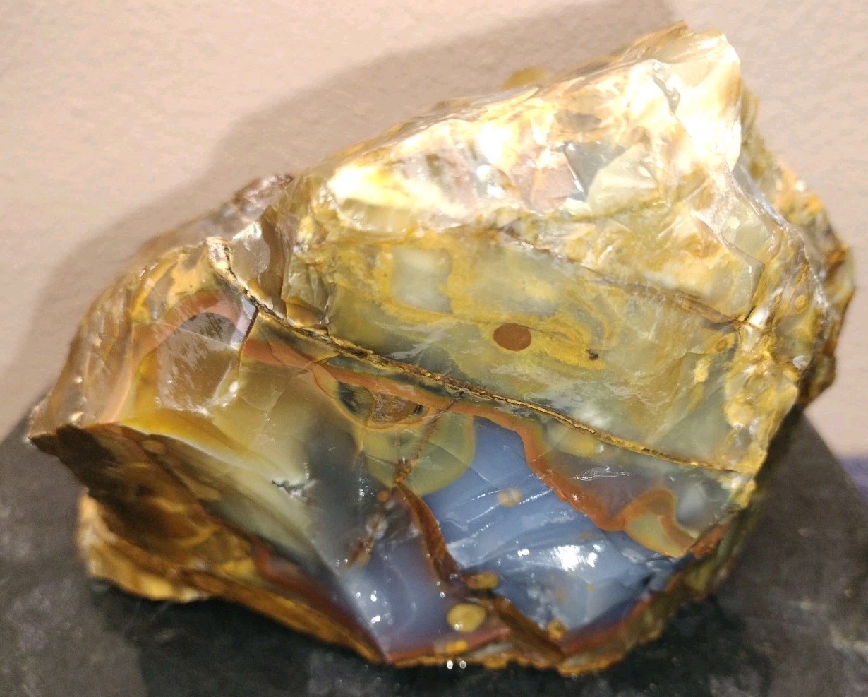 8.2LB 💙 Blue Ice Polka Dot Agate 2pc Rough Lot Ashwood, OR Cabochon Stock #24