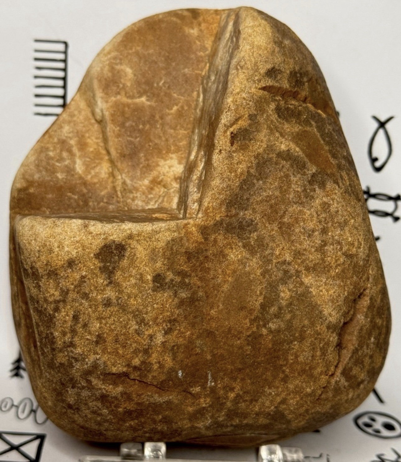 Native American Indian Authentic Artifact Stone Carved Effigy, 3 lb 2 oz • VA