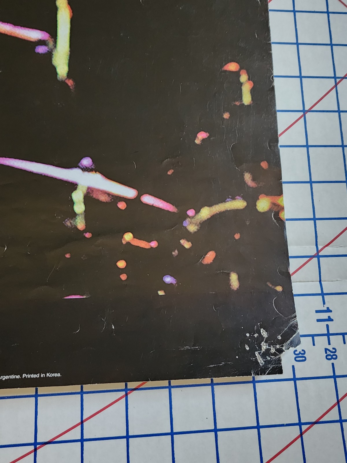 Poster 1998 Bob Marley Playing guitar on Stage Original Vintage