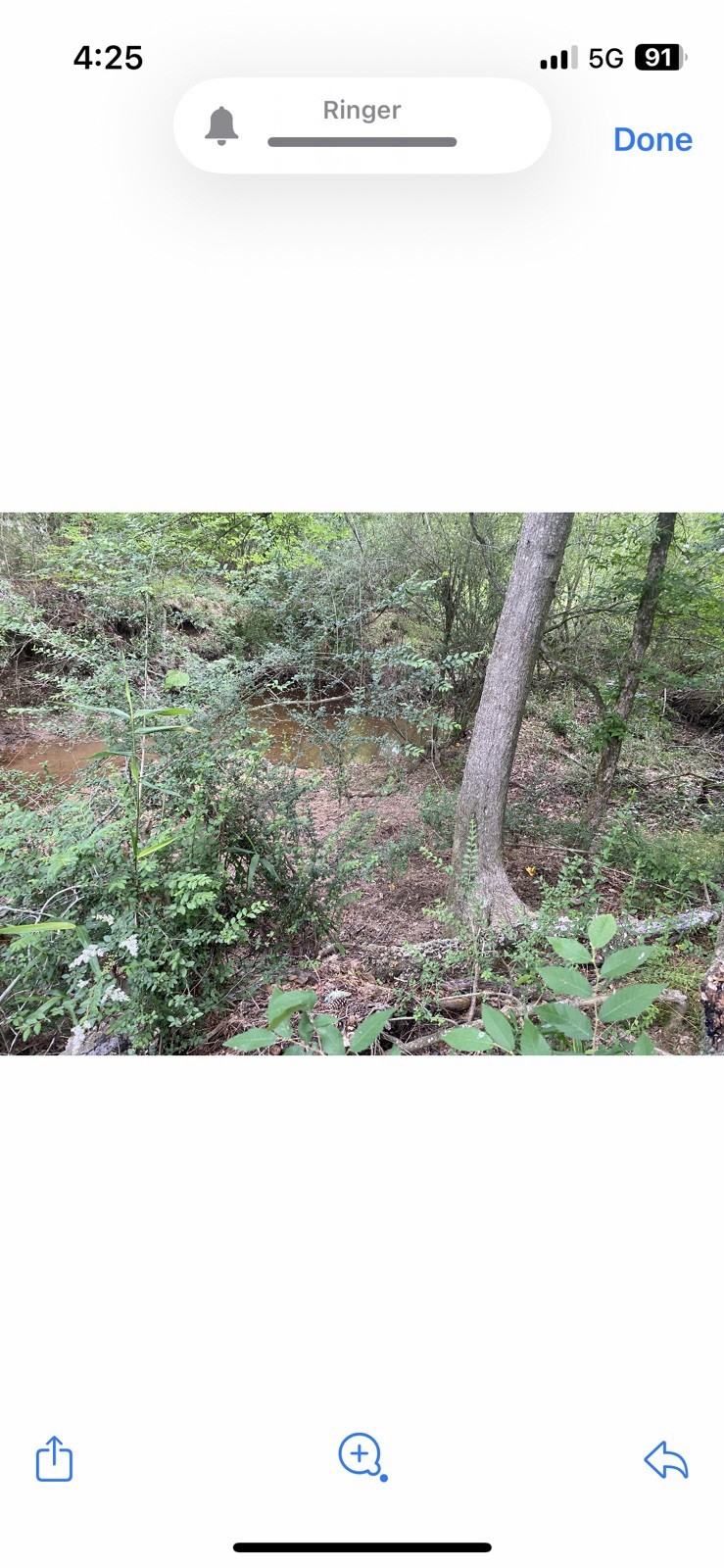 Lynyrd Skynyrd Signed COA Plane Crash Steel Rivet 1”X1” From Fuselage Craig Reed