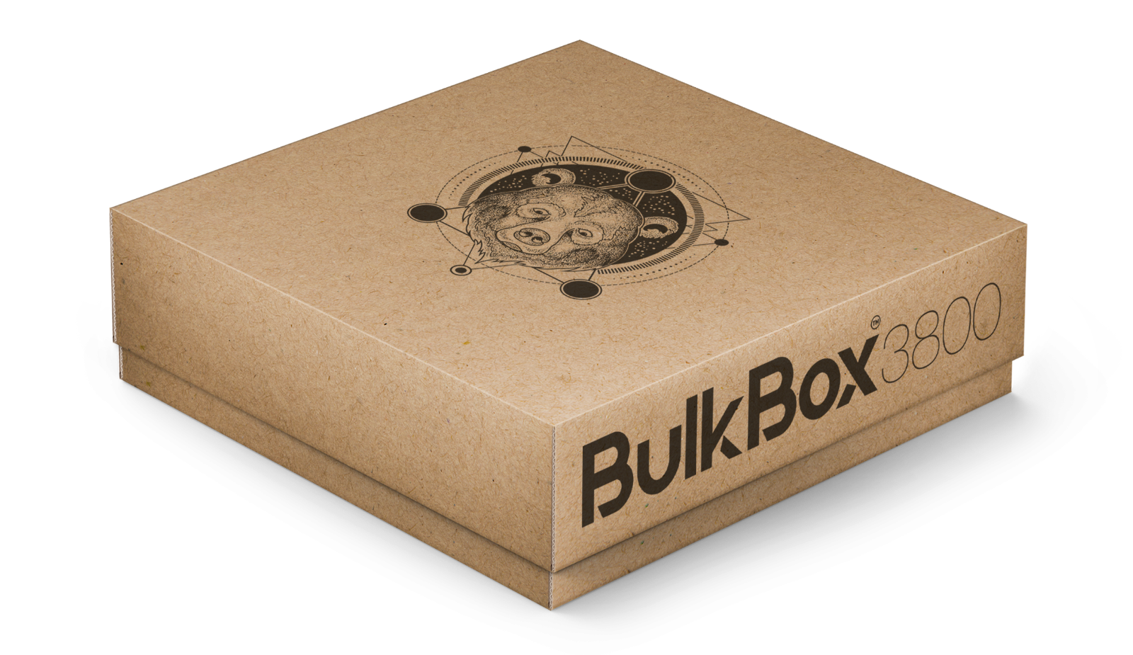 TCG bulk storage box for ANY trading card game ECO BulkBox Set of 3 x 3800 cards