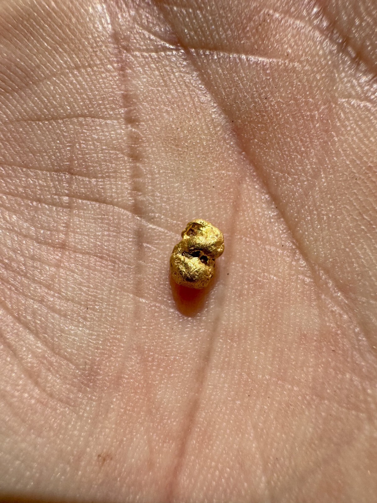 Presidential 10 Gram Gold Nugget Hunt Rich Unsearched Paydirt With Added Gold