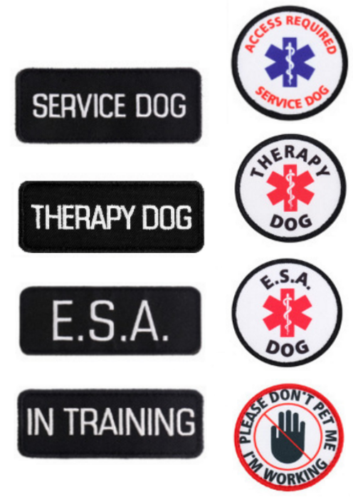 Service Dog - Support Dog - Therapy Dog Harness K9 Pocket Vest ALL ACCESS CANINE