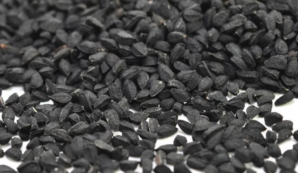 Black Cumin Seed NIGELLA SATIVA Black Seed Raw Semilla de Comino Negro