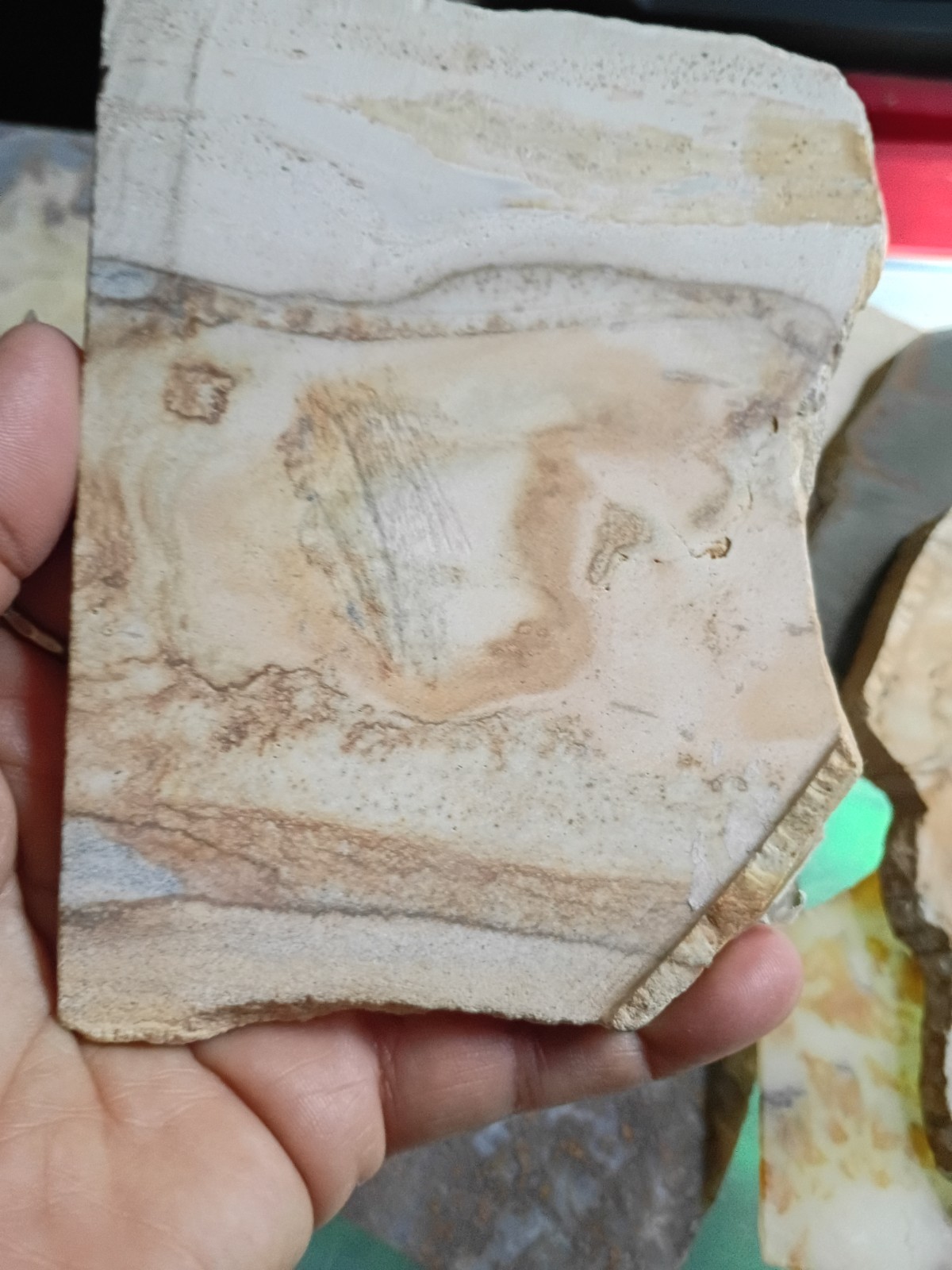 Picture Jasper Slabs Hand Painted