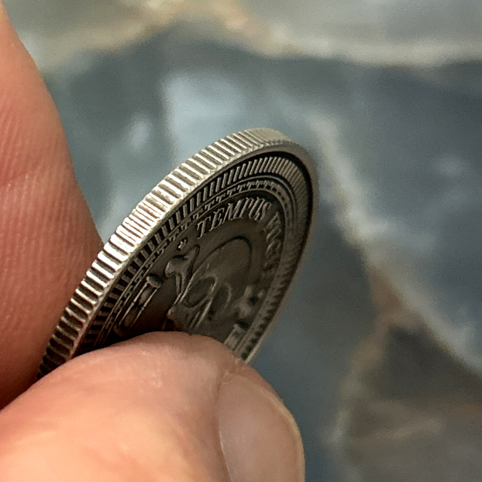 Memento Mori - Tempus Fugit Skull Lucky Pocket Piece Coin (1 PC)