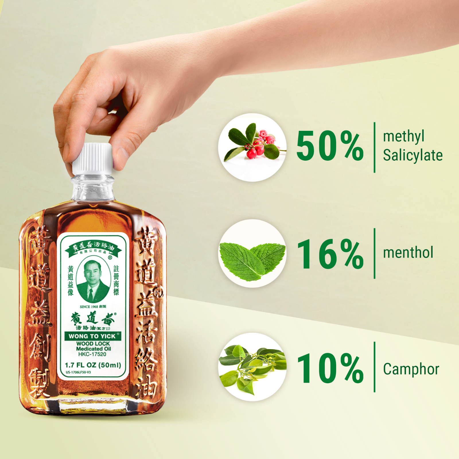 黃道益活絡油 - 12 Pack of Wong to Yick Wood Lock Medicated Oil