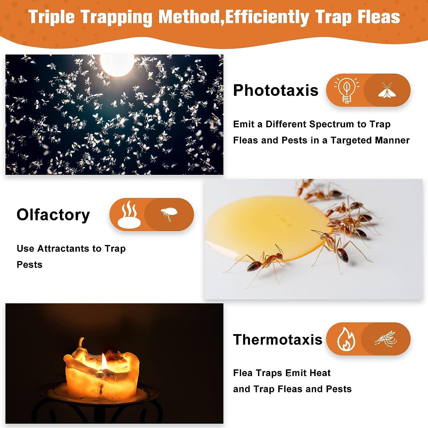 4Pcs Flea Traps for Inside Your Home with 8 Sticky Disc 8 Bulbs Flea Killer