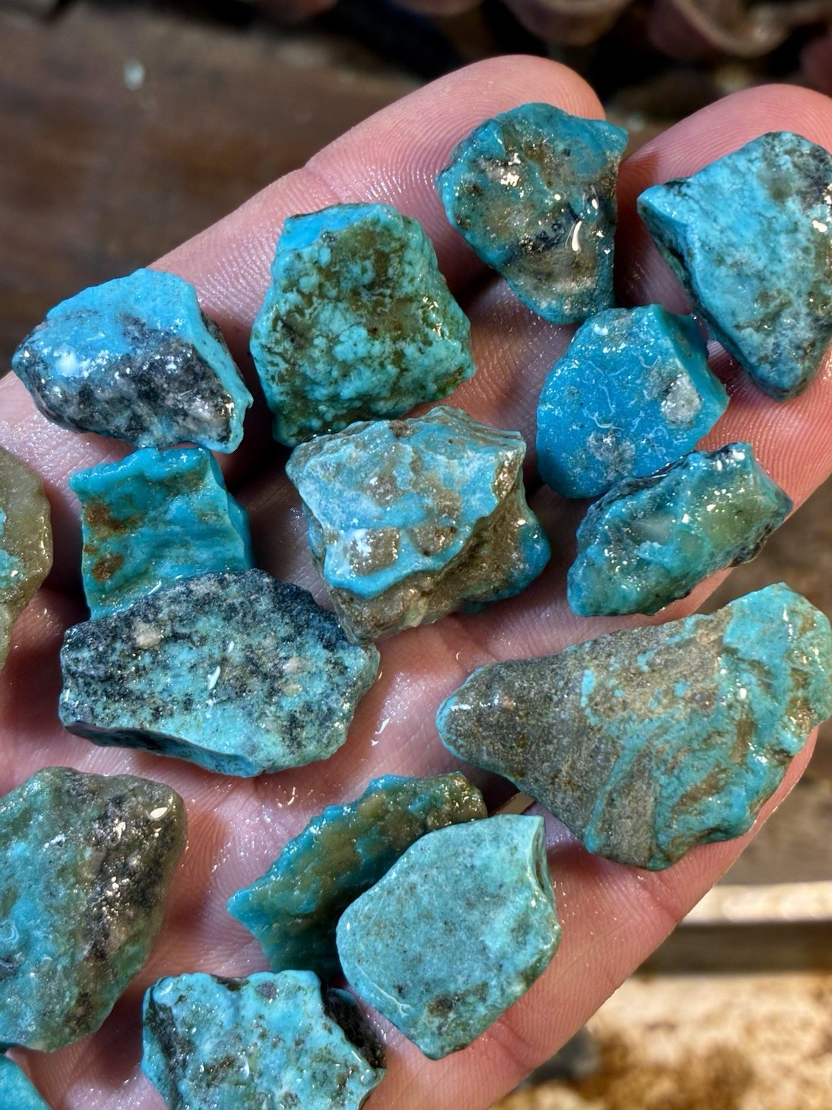 1 Lb. Ithaca Peak, Real Turquoise! Electric blues! High in matrix. ❤️‍🔥3 Left!