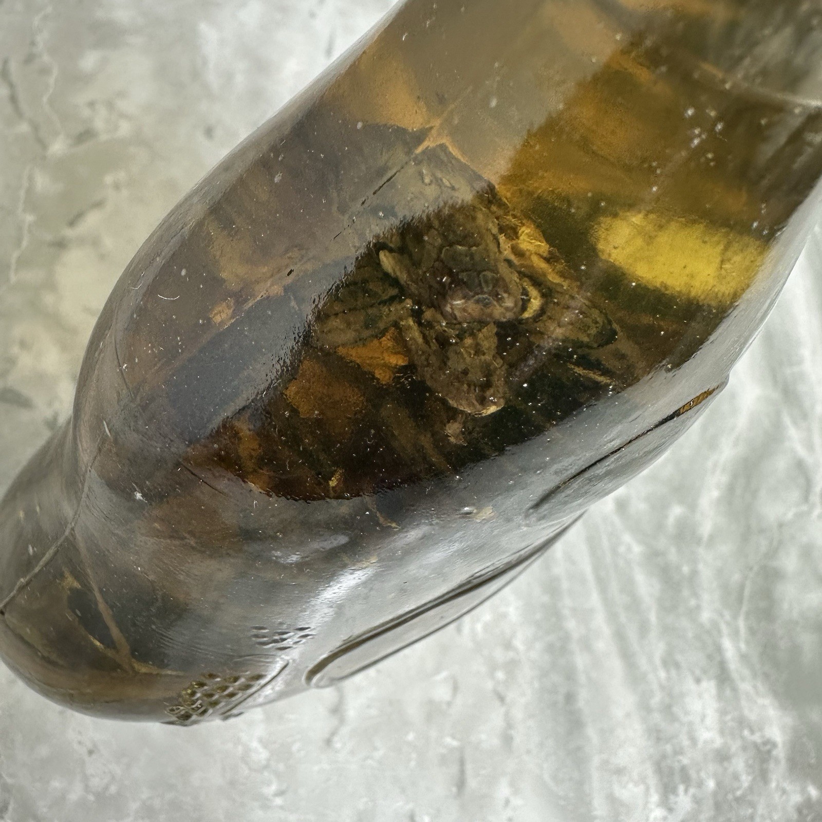 Cobra Snake And A Scorpion In A Glass Bottle 7" Tall - Snake Wine?