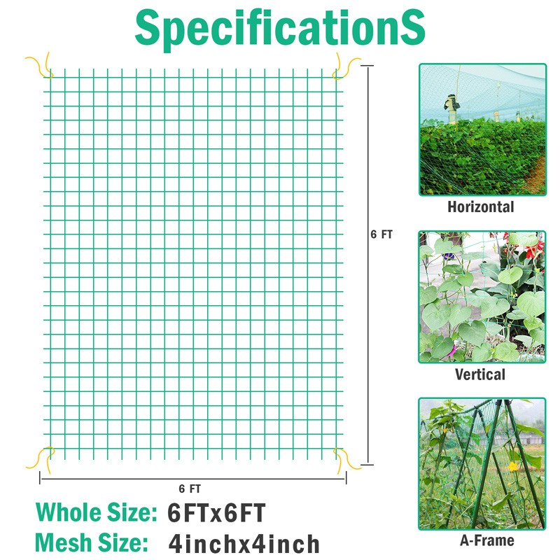 Garden Plant Climbing Net Trellis Netting Mesh Support Fruit Vine 6FT-100FT