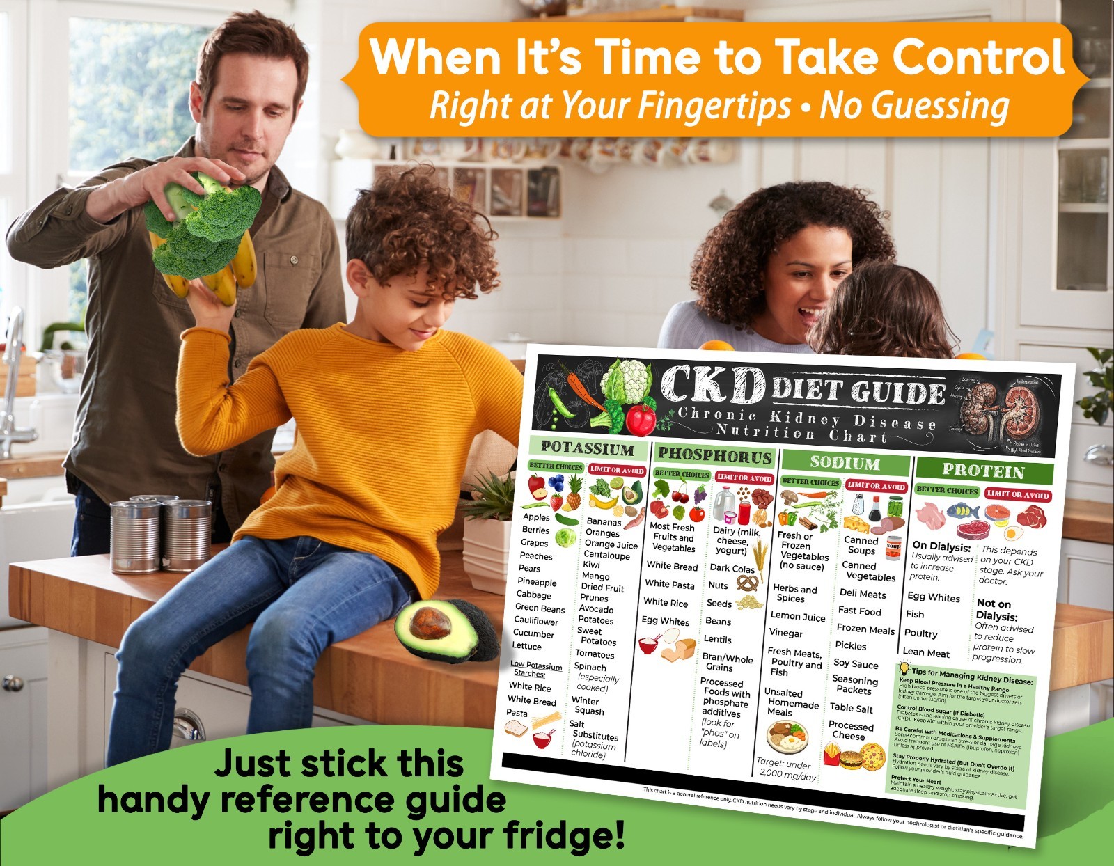 CKD Diet Guide 8.5x11 Kidney Friendly Food Chart Renal Nutrition Ref Poster Arts