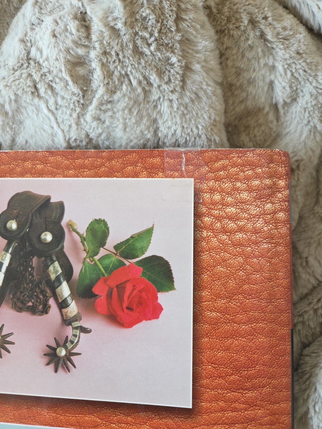 Cowboy Bits and Spurs Joice I. Overton Schiffer Book for Collectors