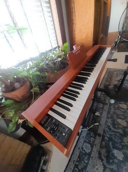 Donner DEP-1S Digital Piano Keyboard with Stand, Sustain Pedal