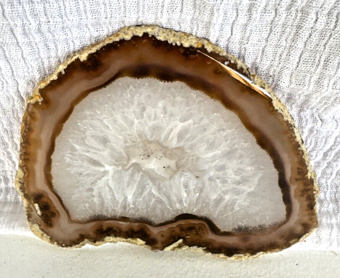 Beautiful Earth Tone Geode Slice Polished Natural Geode Mineral Rock Stone 5” W