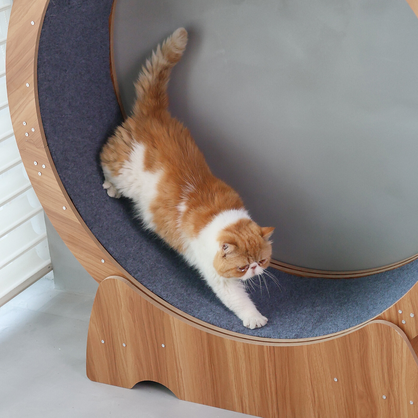 Cat Exercise Wheel Large Cat Treadmill Running Wheel Cat Toy Weight Loss Roller