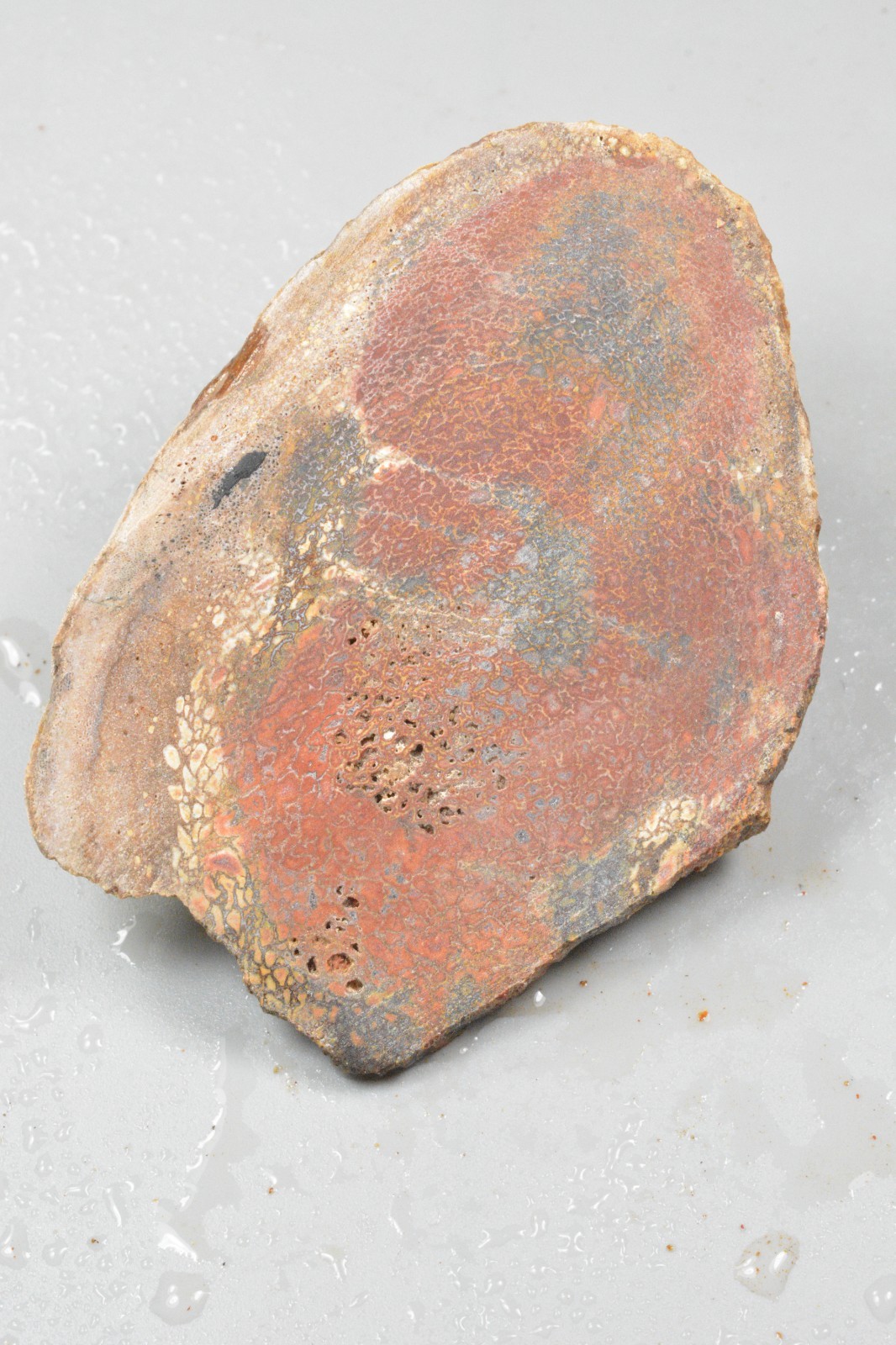 Orange Agatized Dinosaur Bone, New Mexico, 120 grams