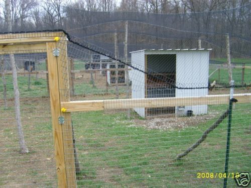 Poultry Netting 50' x 100' 2" Heavy Knotted Aviary Hawk Stop Bird chicken Net