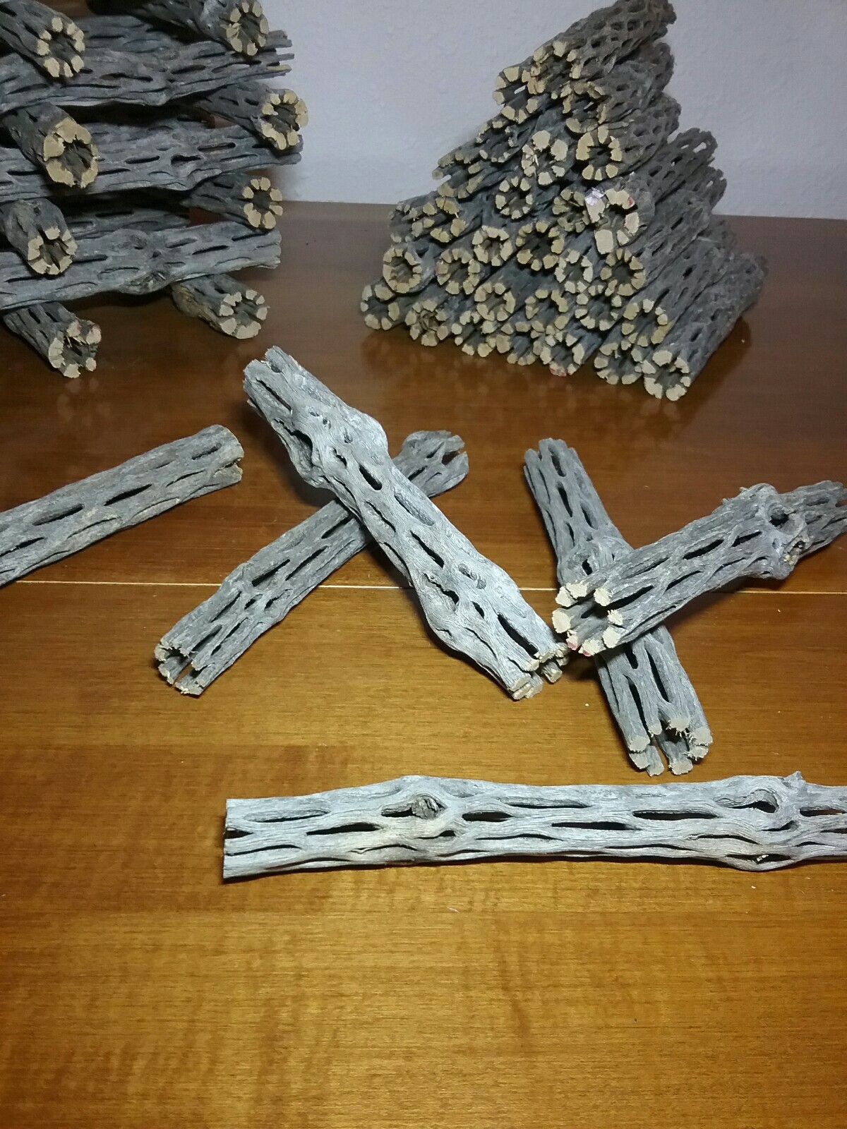 20 pcs 6" inch CHOLLA logs | Organic Cactus Wood | Shrimp Aquarium Decor | NICE!