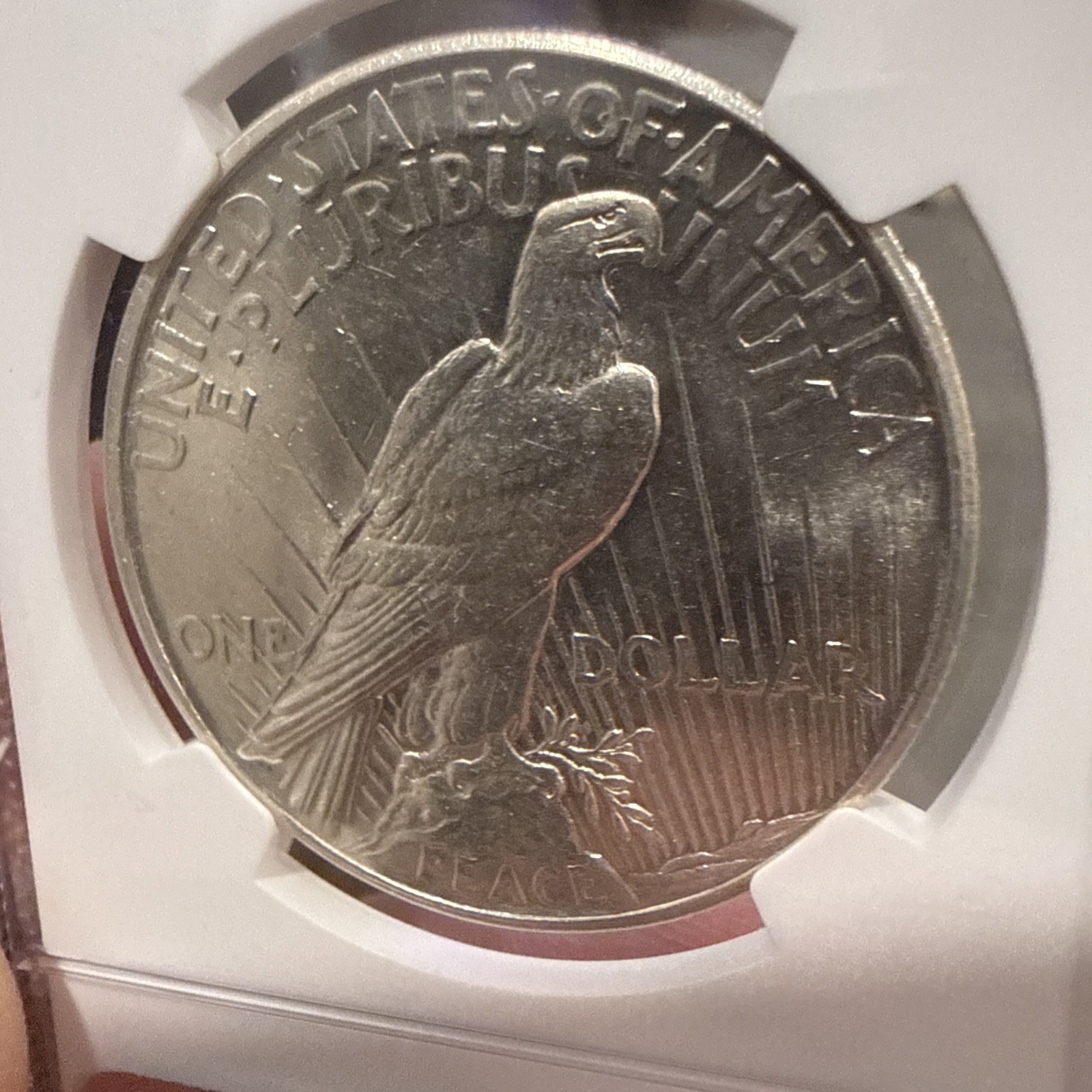 1921 PEACE DOLLAR HIGH RELIEF NGC MS 62 BRIGHT WHITE