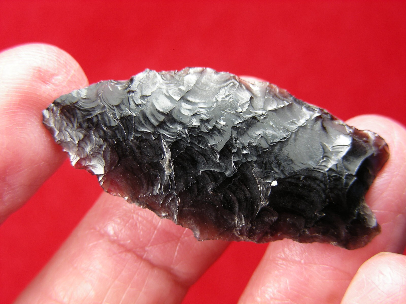 HUMBOLDT 1-1/2" CALIFORNIA Authentic Indian Relics