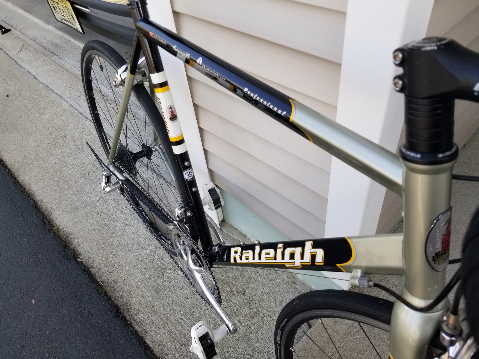 2003 Raleigh Professional, 56cm Columbus Steel Frame, Campagnolo Chorus Group